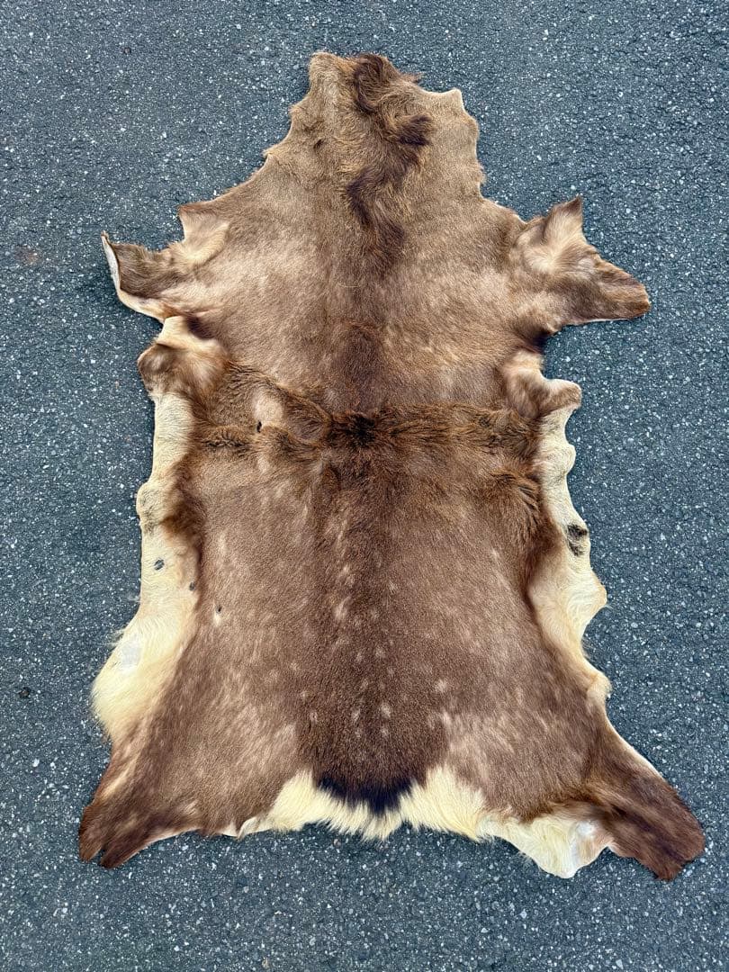 日本鹿 ラグマット 毛皮 敷物 ブランケット 蝦夷鹿 ブッシュクラフト キャンプ