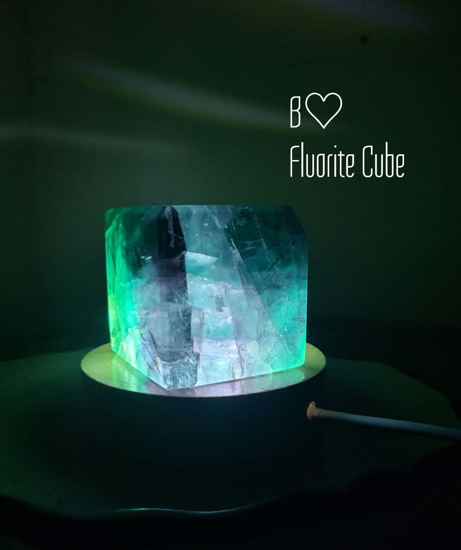 ①マダラさま♡