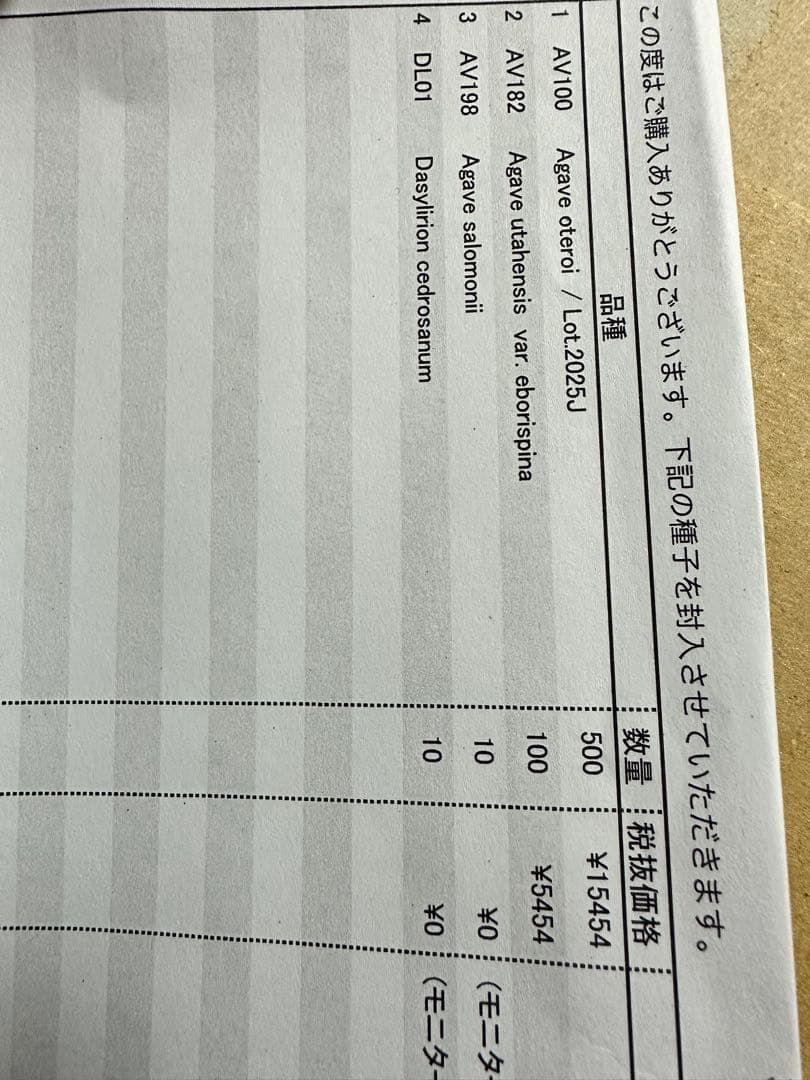 アガベ　オテロイ、エボリスピナ種子セット