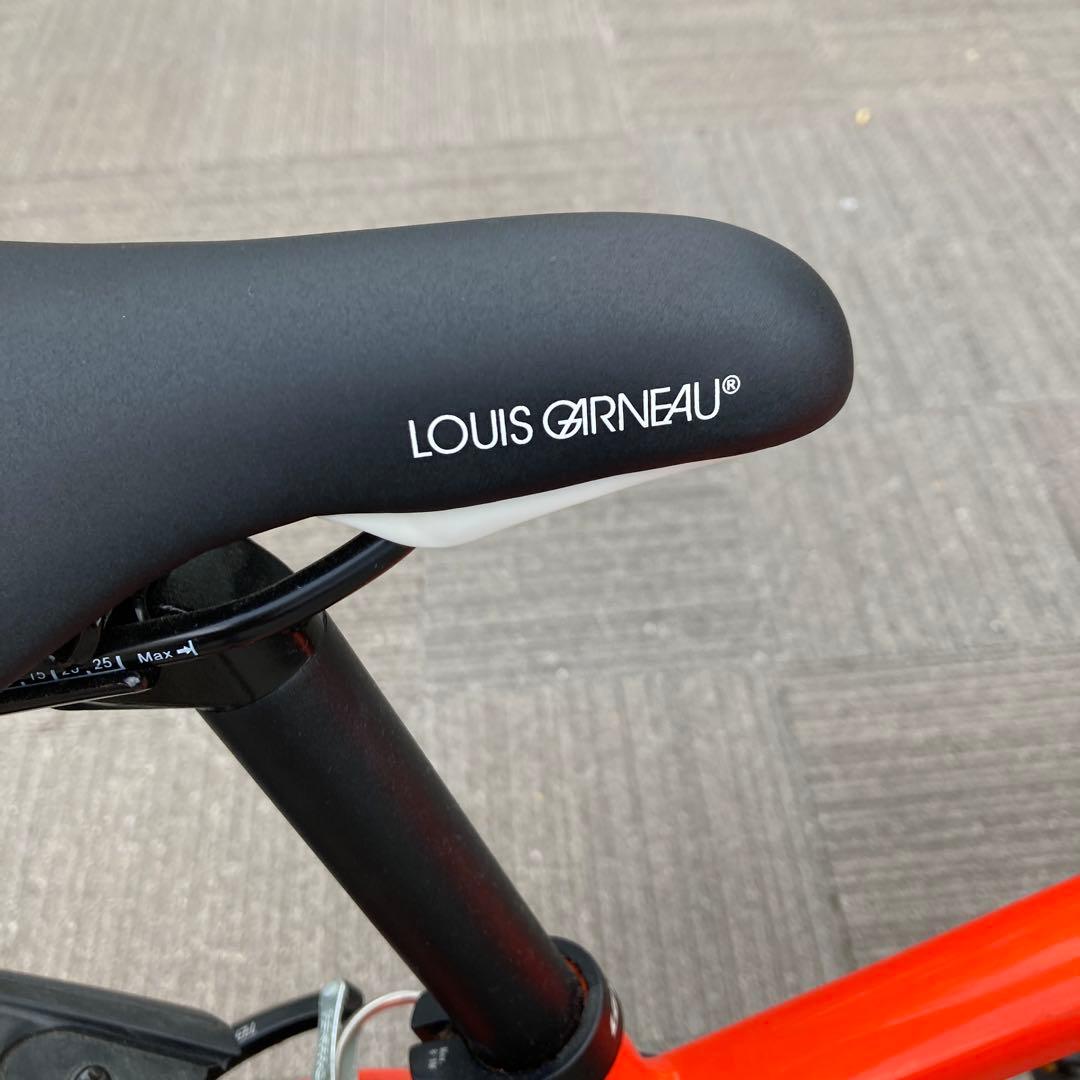 ルイガノ ジュニア用 24インチ アルミフレーム （引き取り限定）