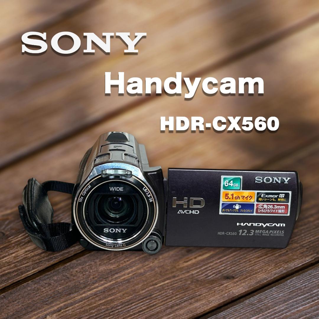SONY ハンディカム HDR-CX560 デジタルHDビデオカメラレコーダー