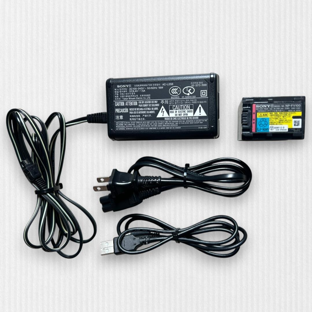 SONY ハンディカム HDR-CX560 デジタルHDビデオカメラレコーダー