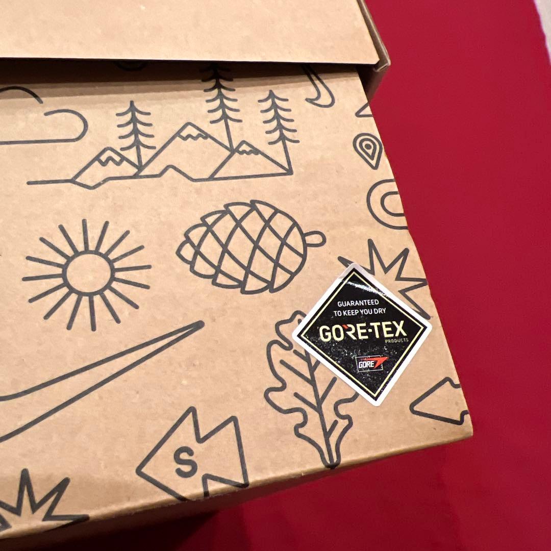 NIKE　ペガサス トレイル 3 ゴアテックス　ランニングシューズ　トレラン