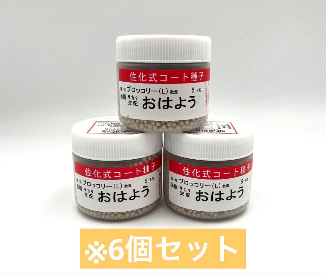 【お年玉価格】値下げ！ブロッコリー種子（おはよう）5000粒6個セット