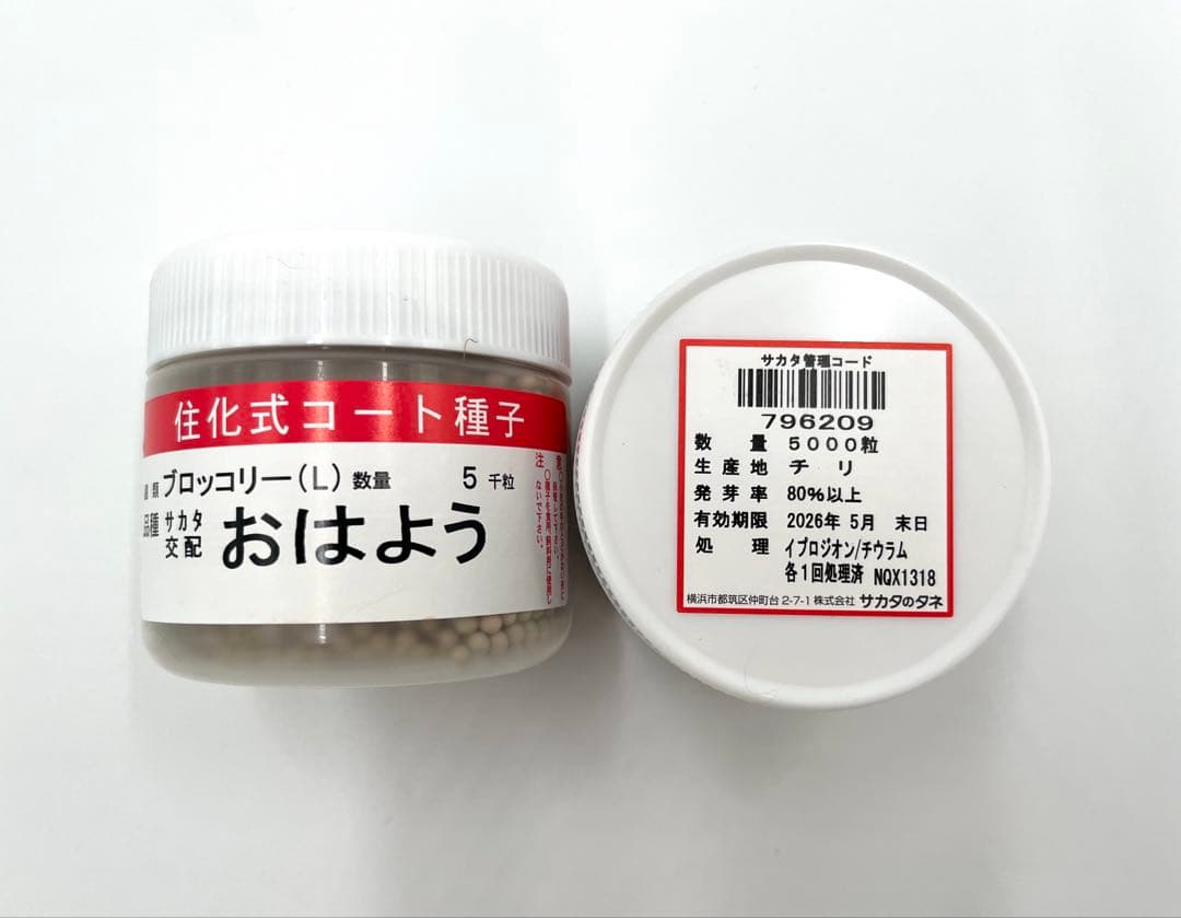 【お年玉価格】値下げ！ブロッコリー種子（おはよう）5000粒6個セット