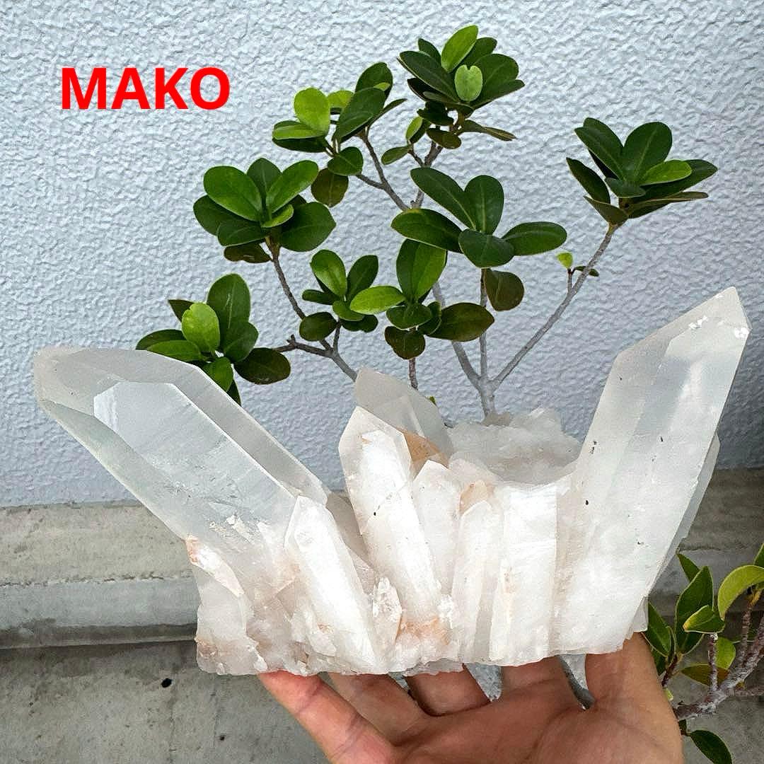 M1692☆ピンク水晶クラスター1.7Kg☆天然石　原石☆N50309