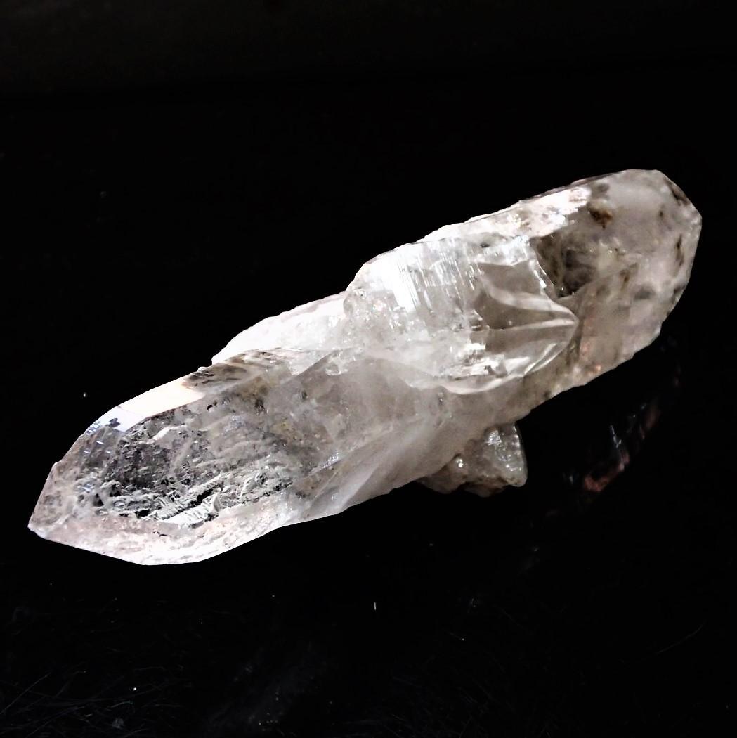 値下しました！ティップリン産クラスター80-2