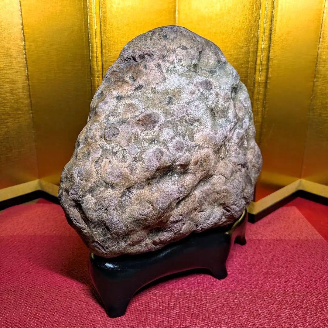 白山菊紋石 7㌔ 希少川ずれ 鑑賞石 観賞石 水石 盆石 天然石 置物 菊花石