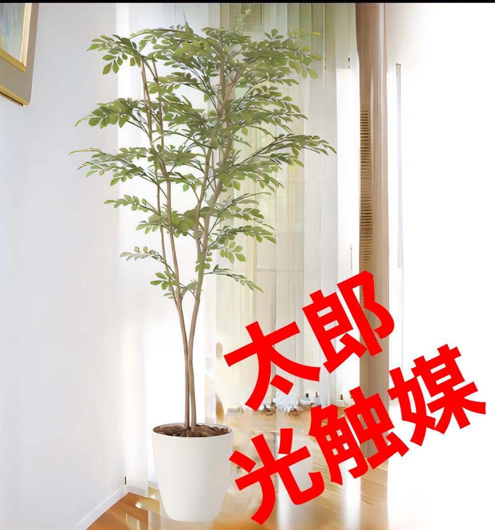 光触媒　人工観葉植物　ウォールグリーン　フェイクグリーン　ライトトネリコ1.6m