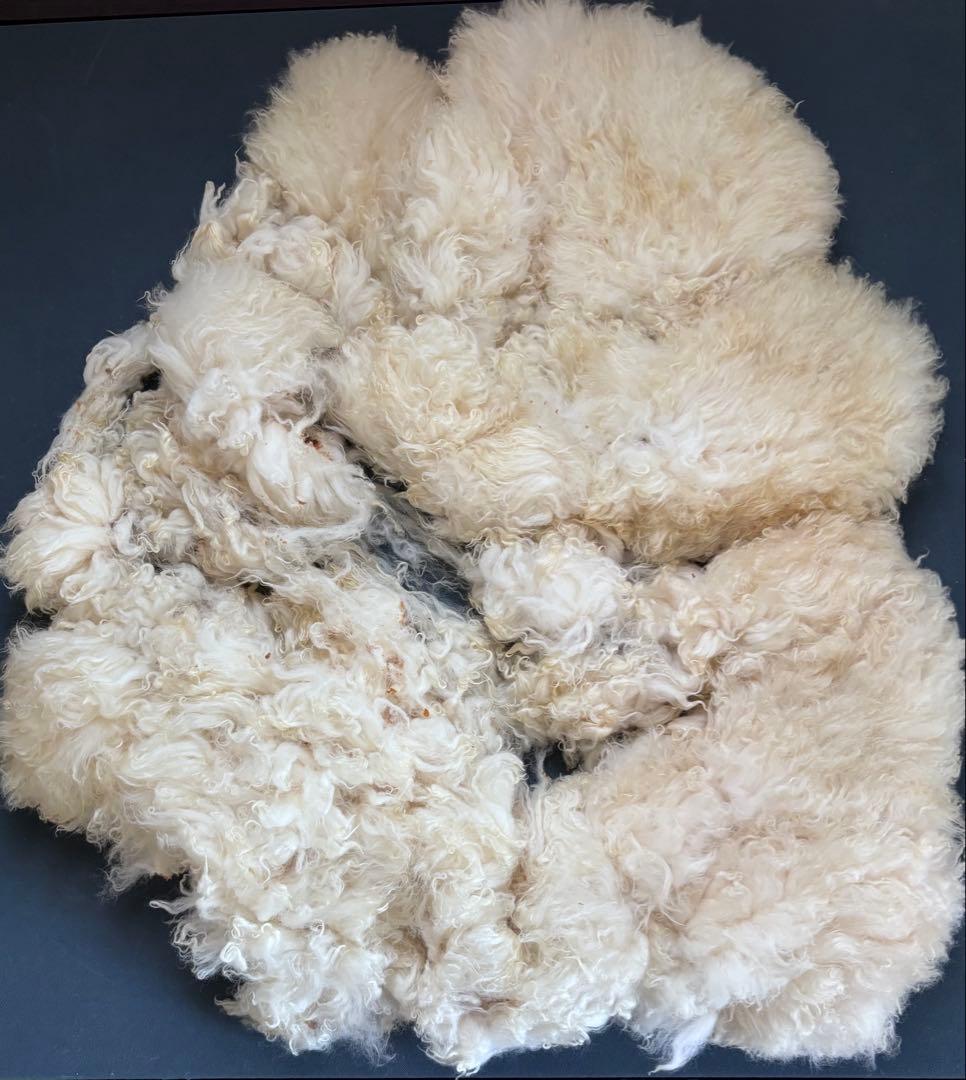 クリーム色 羊毛ラグ 約69cm x 約59cm
