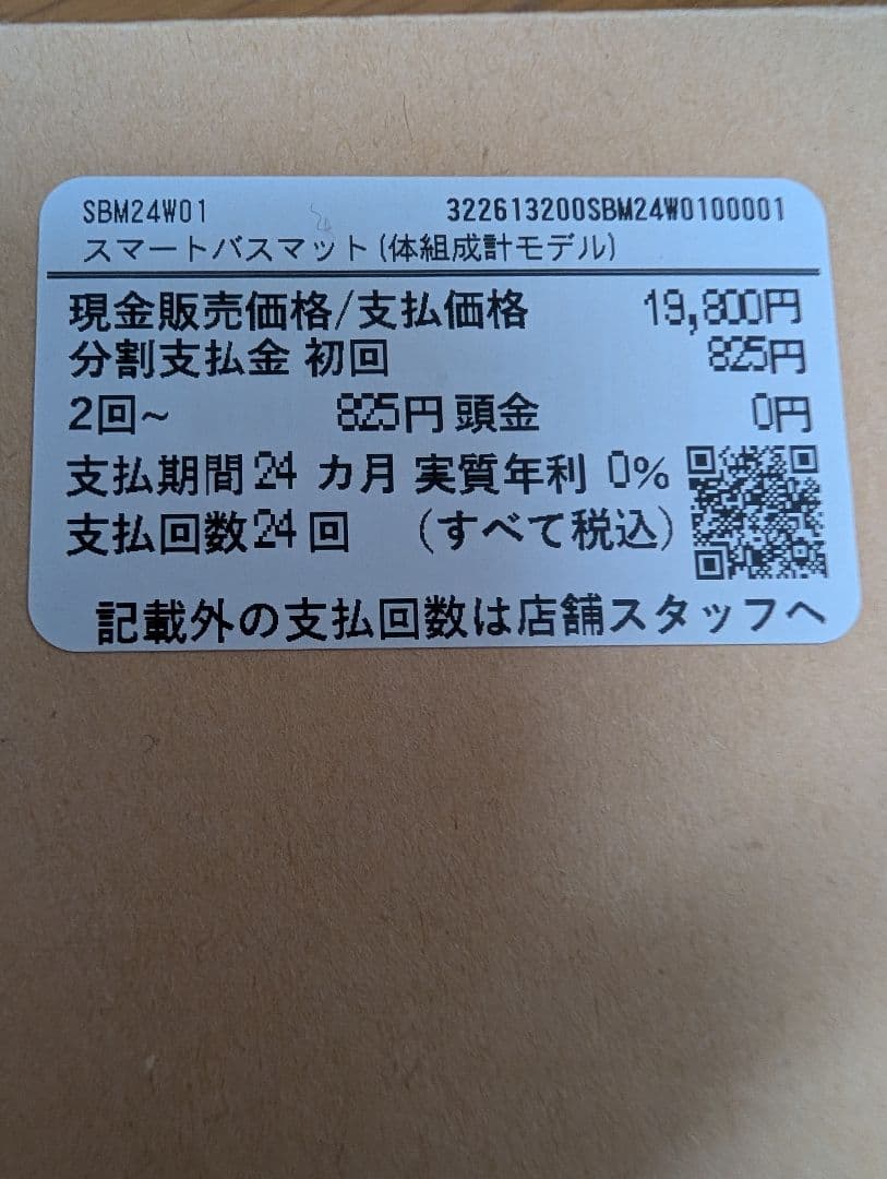 新品未使用2024年Smart Bath Mat ISSINスマートバスマット