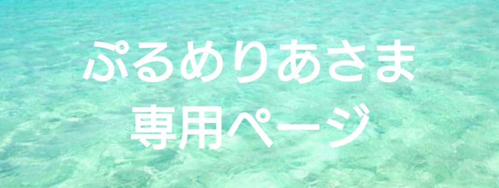 専用ページ 保存食セット