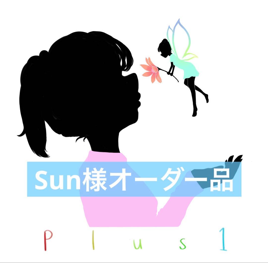 Sun様オーダー品 Imda 17 等