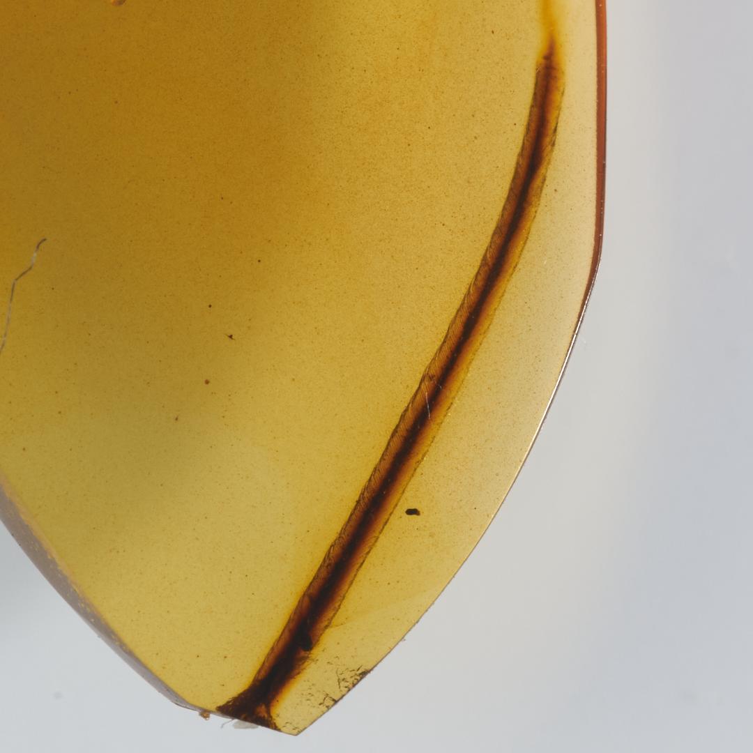 レア極上品 PA0049虫入り琥珀化石　ミャンマーカムティかタナイ9900万年前