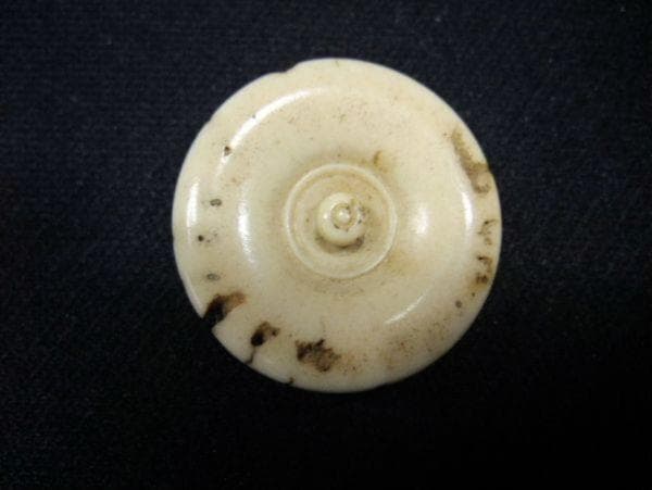 古い 茶入れ 瓢型 蓋 骨 飴釉 仕覆付 茶道具 時代物 骨董