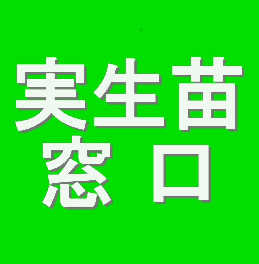 オリジナル交配実生苗 窓口