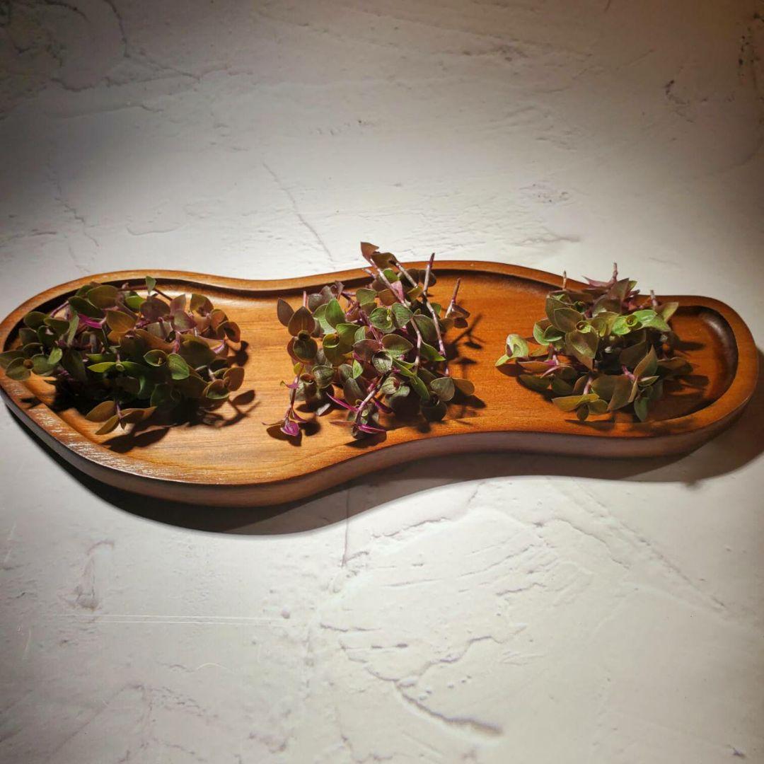 おまとめ検討中多肉植物寄せ植えセット☆たくさん詰め合わせ☆抜き苗&カット苗♪①