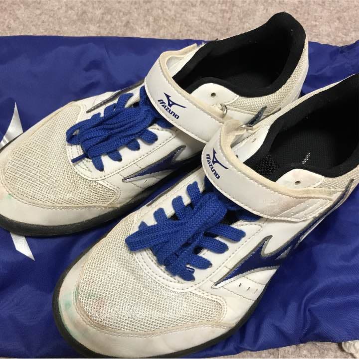 円盤スパイク