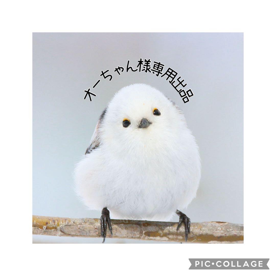 オーちゃん出品(苗おまとめ)