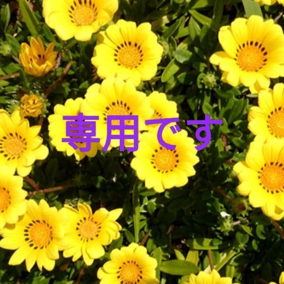 Chiekoさま専用【希少カラー　ライムグリーン】折財布　本革　刻印　ミニマル