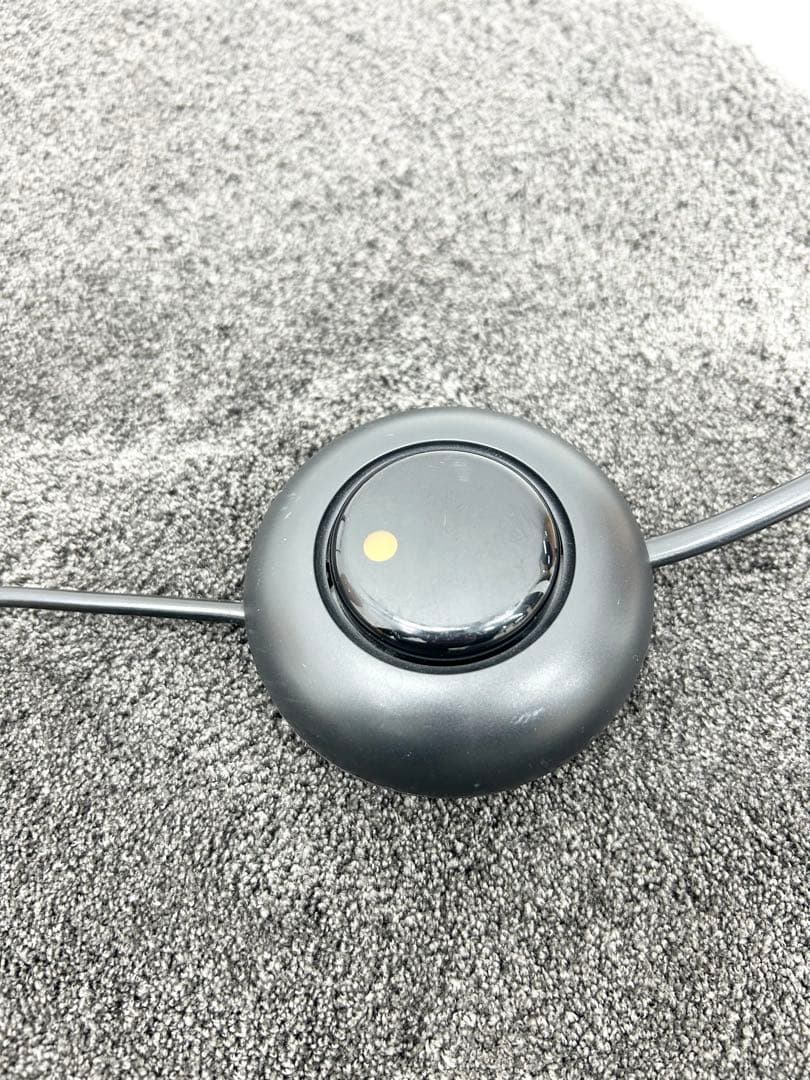 GERVASONI ジェルバゾーニ BOLLA M ラタン フロアーランプ