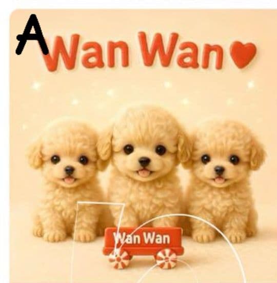 オーダー受付　6犬種わんこ　ご予約ページ　9/11