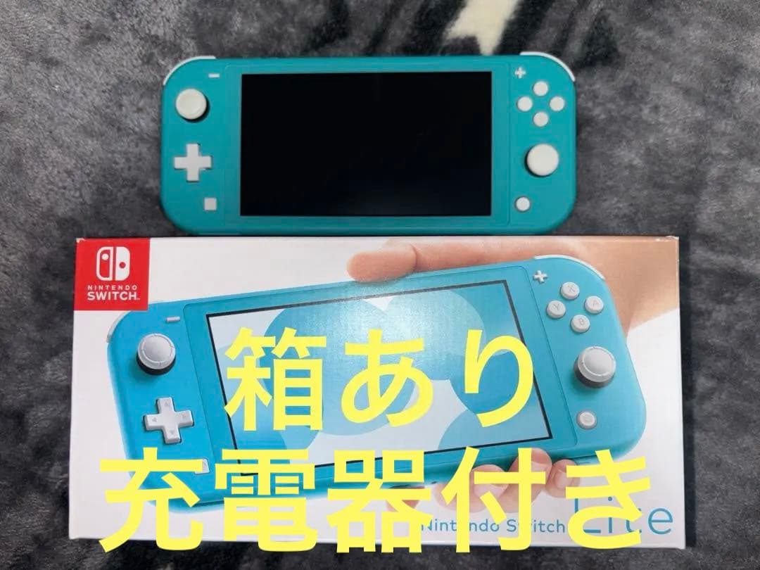 Switchライト箱充電器付き ケース付き