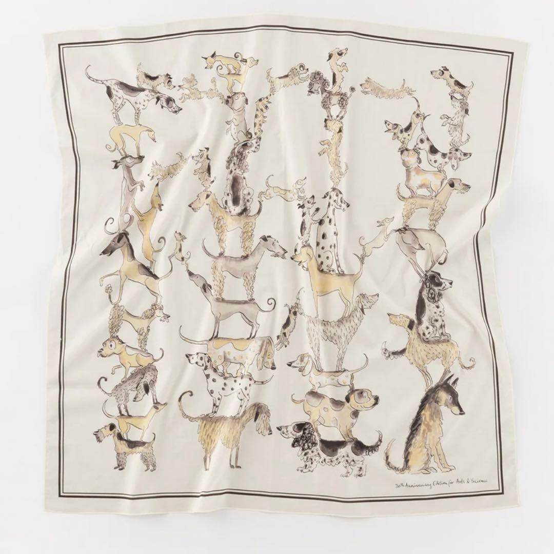 小物 artsandscience holiday collection skarf