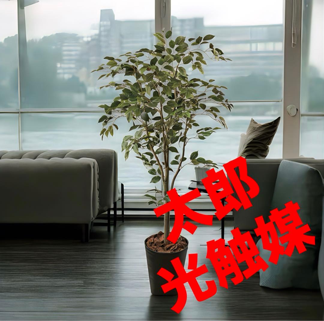 光触媒　人工観葉植物　ウォールグリーン　フェイクグリーン　ベンジャミン160