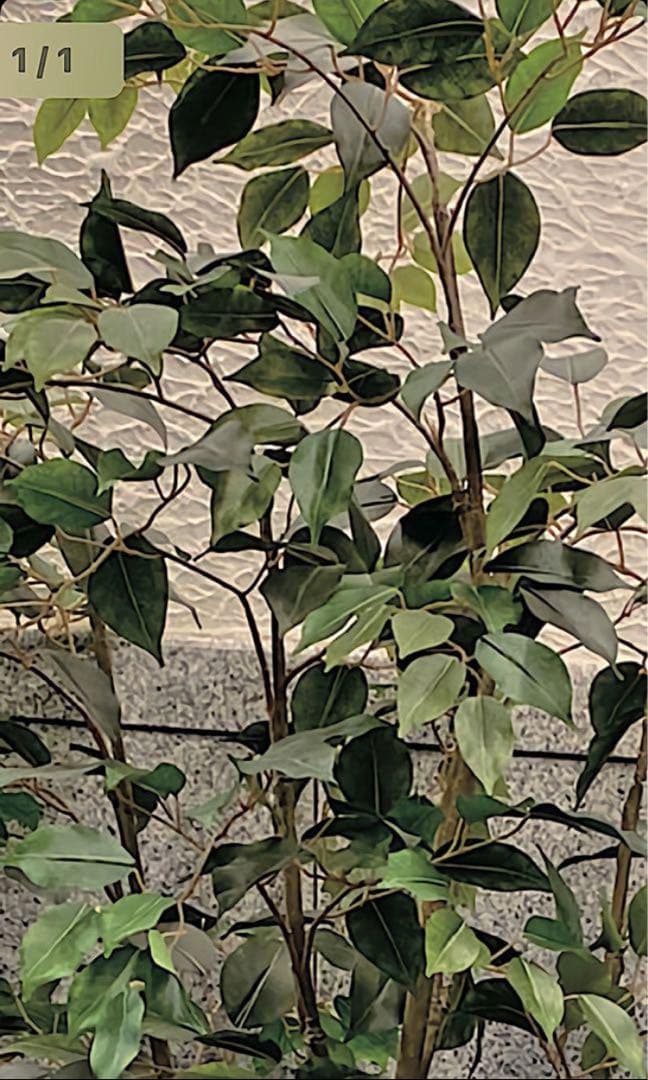 光触媒　人工観葉植物　ウォールグリーン　フェイクグリーン　ベンジャミン160