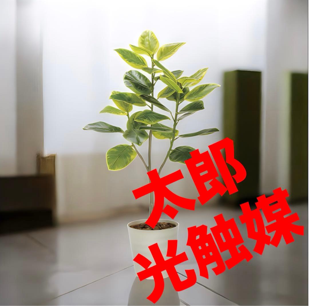 光触媒　人工観葉植物　フェイクグリーン　フレッシュアルテシマ1.35