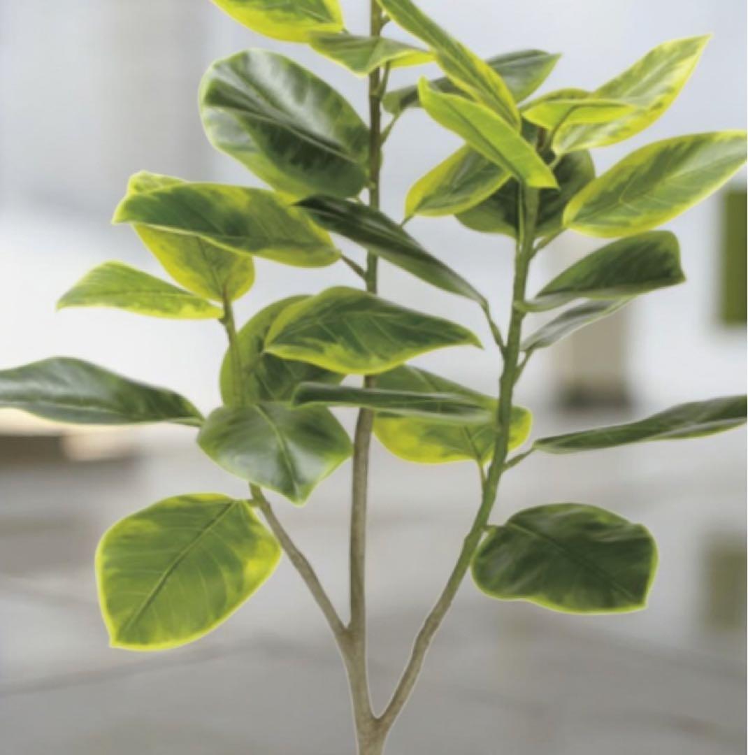 光触媒　人工観葉植物　フェイクグリーン　フレッシュアルテシマ1.35