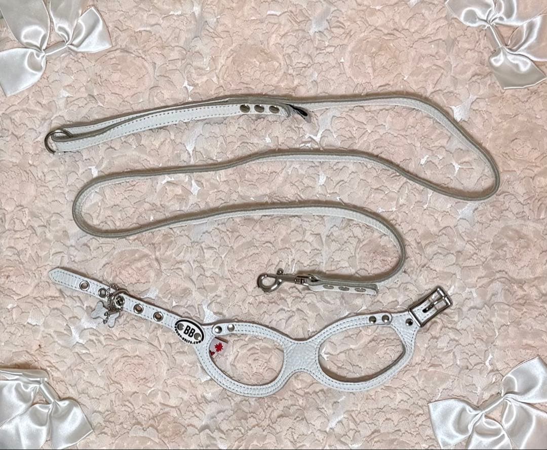 BUDDYBELTS (バディベルトBB) ハーネス2.5号 リードSサイズ 白