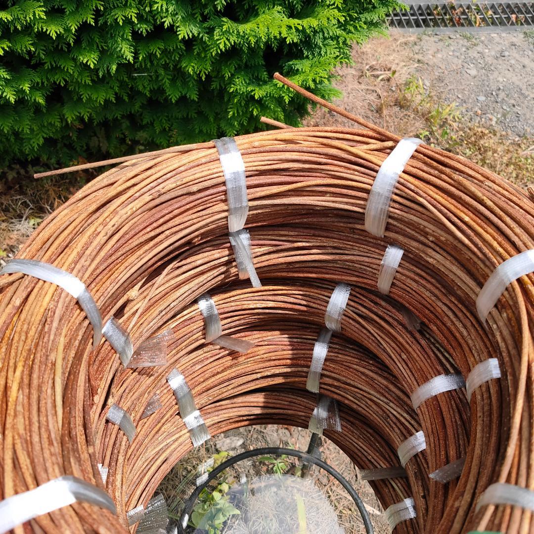 hkeplk　青森岩木山採取　あけび蔓　150cm～ 5kg