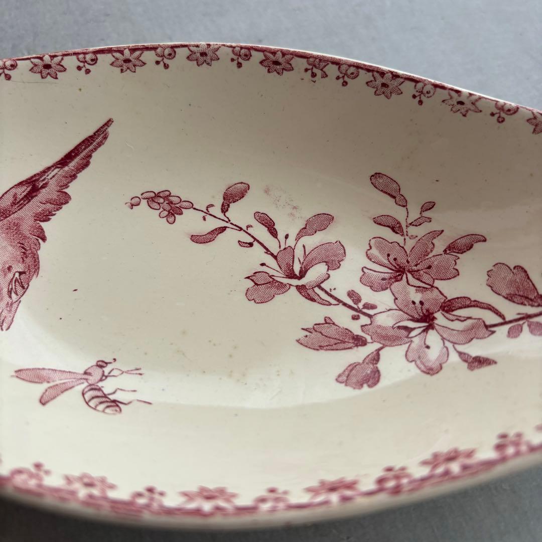 ピオニー❣️サルグミンヌ FAVORI 赤い鳥のラヴィエ