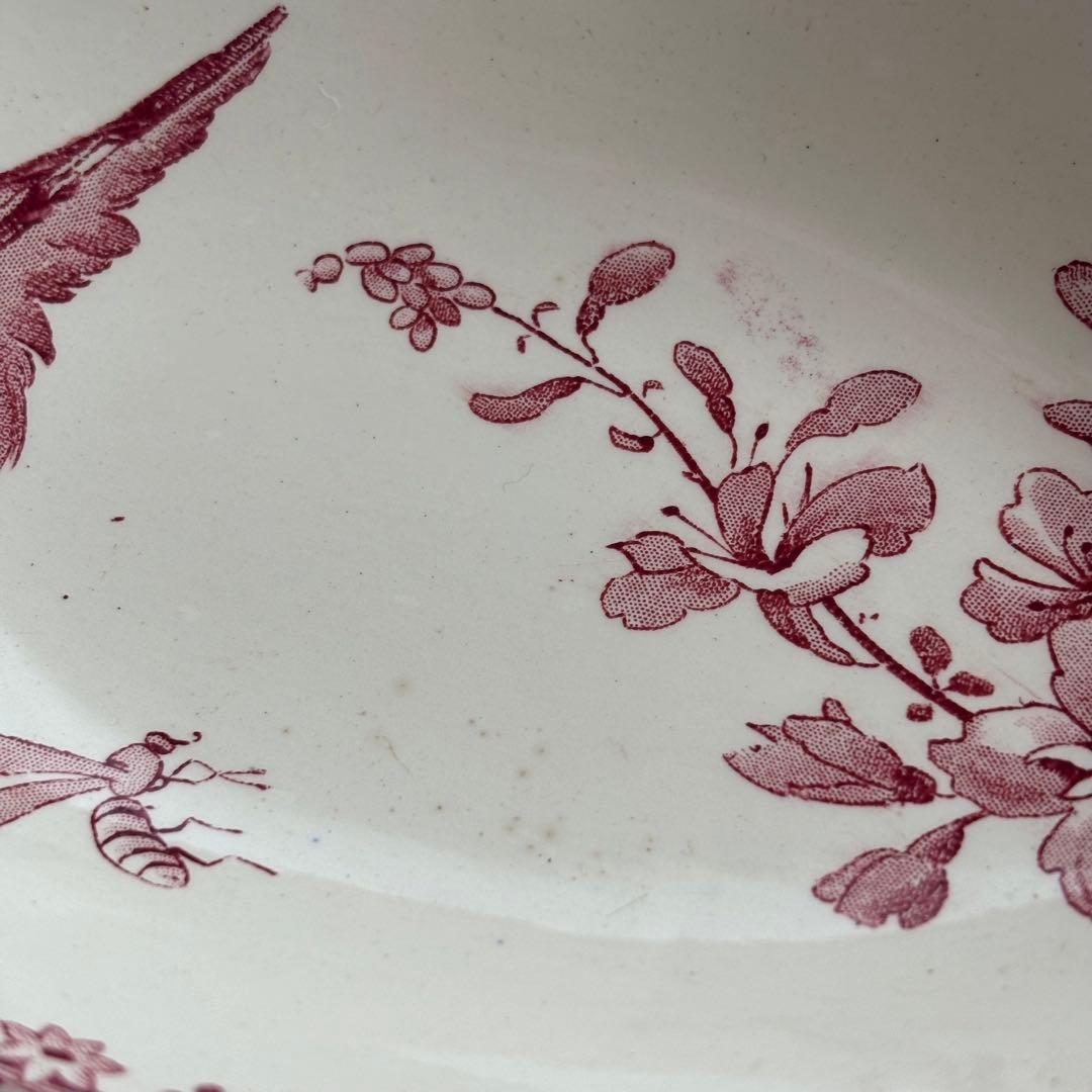 ピオニー❣️サルグミンヌ FAVORI 赤い鳥のラヴィエ