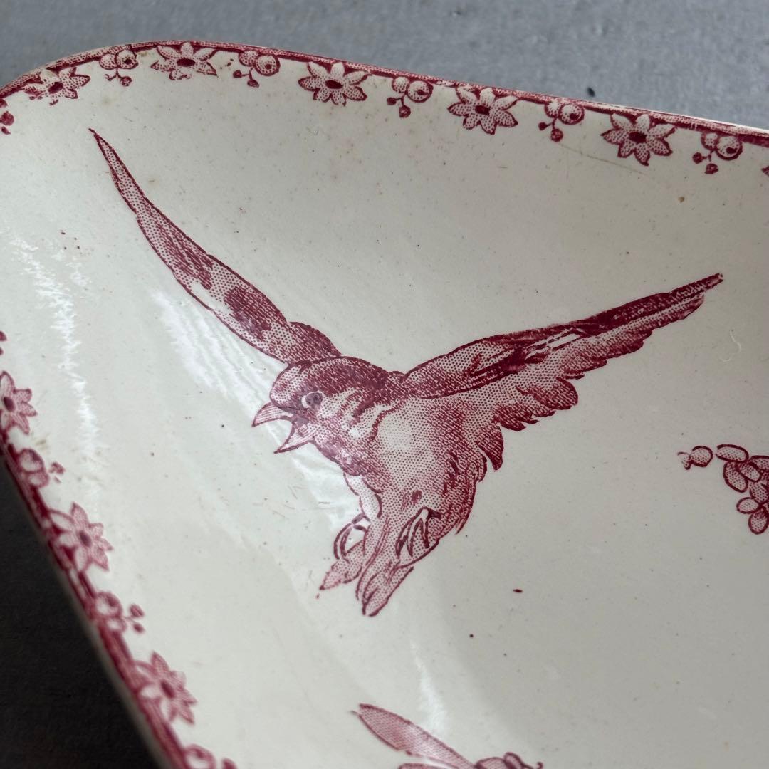 ピオニー❣️サルグミンヌ FAVORI 赤い鳥のラヴィエ