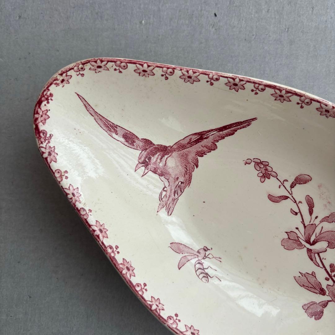 ピオニー❣️サルグミンヌ FAVORI 赤い鳥のラヴィエ