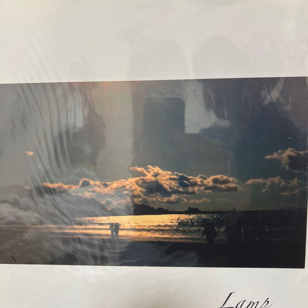 美品Lamp 12\