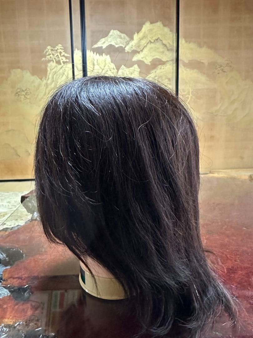 美容師国家試験練習用ウィッグ 株式会社三矢　東京チャーム　9体