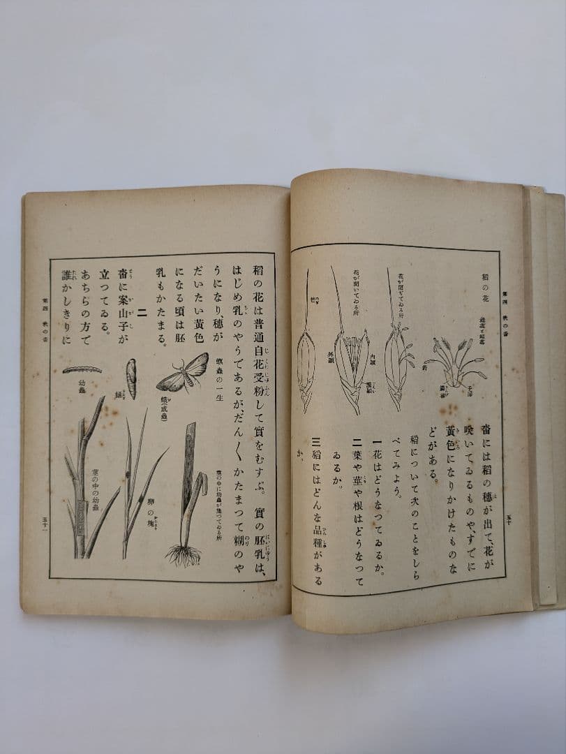 初等理科書 1〜3巻　朝鮮総督府　昭和6〜8年発行　戦前