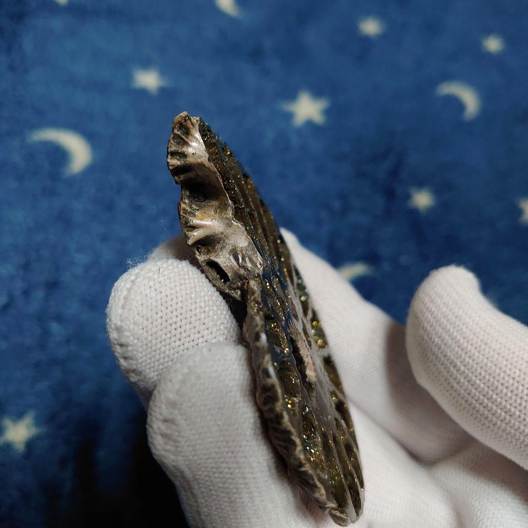 黄鉄鉱化アンモナイト　化石　ハーフカット　ロシア産　ミハイロフスキー採石場