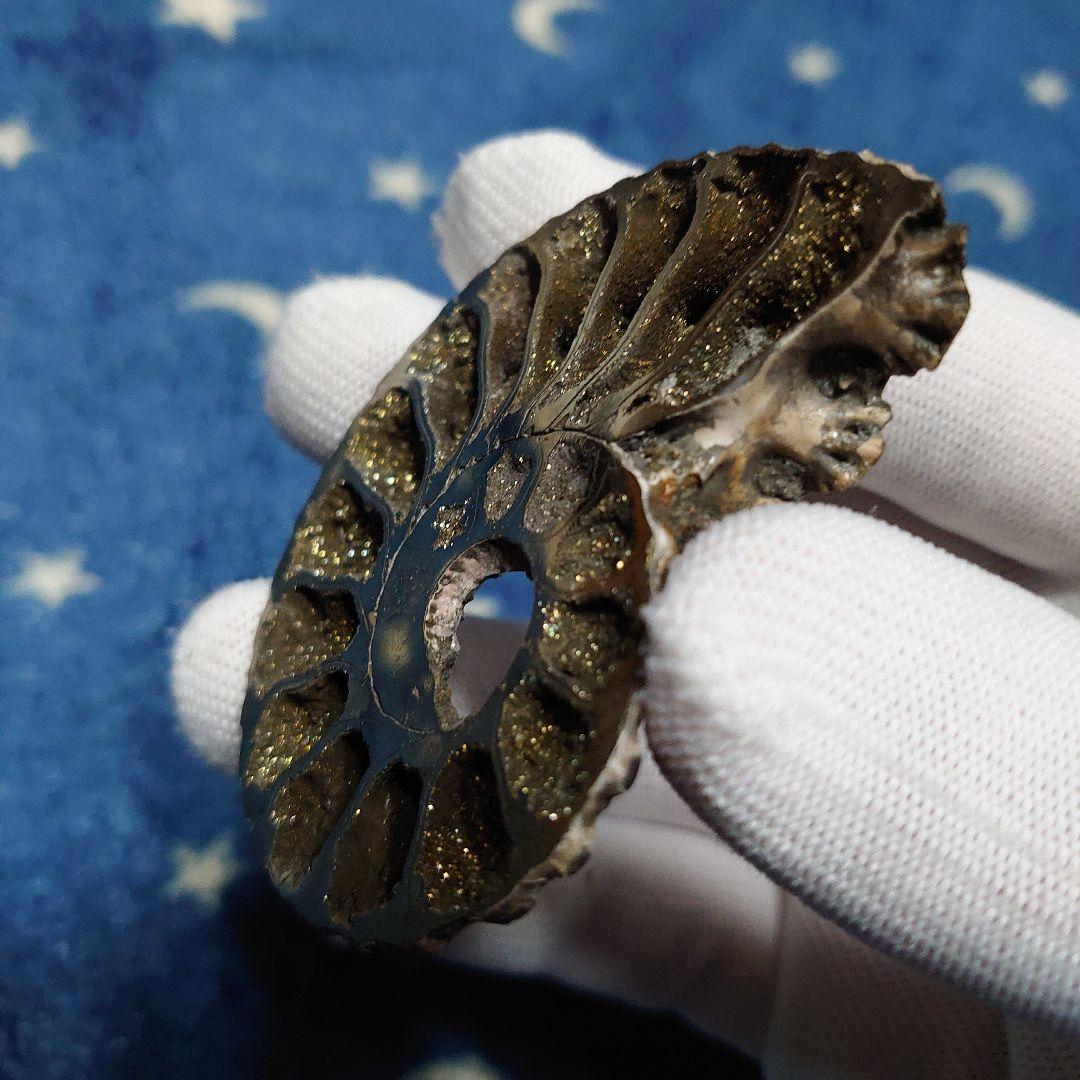 黄鉄鉱化アンモナイト　化石　ハーフカット　ロシア産　ミハイロフスキー採石場