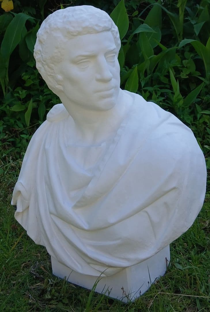 ブルータス石膏胸像 。デッサン。美術。教材