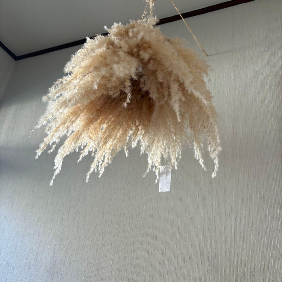 パンパスグラス フライングリース 33～37cm ＊ ホワイトフェザー リース