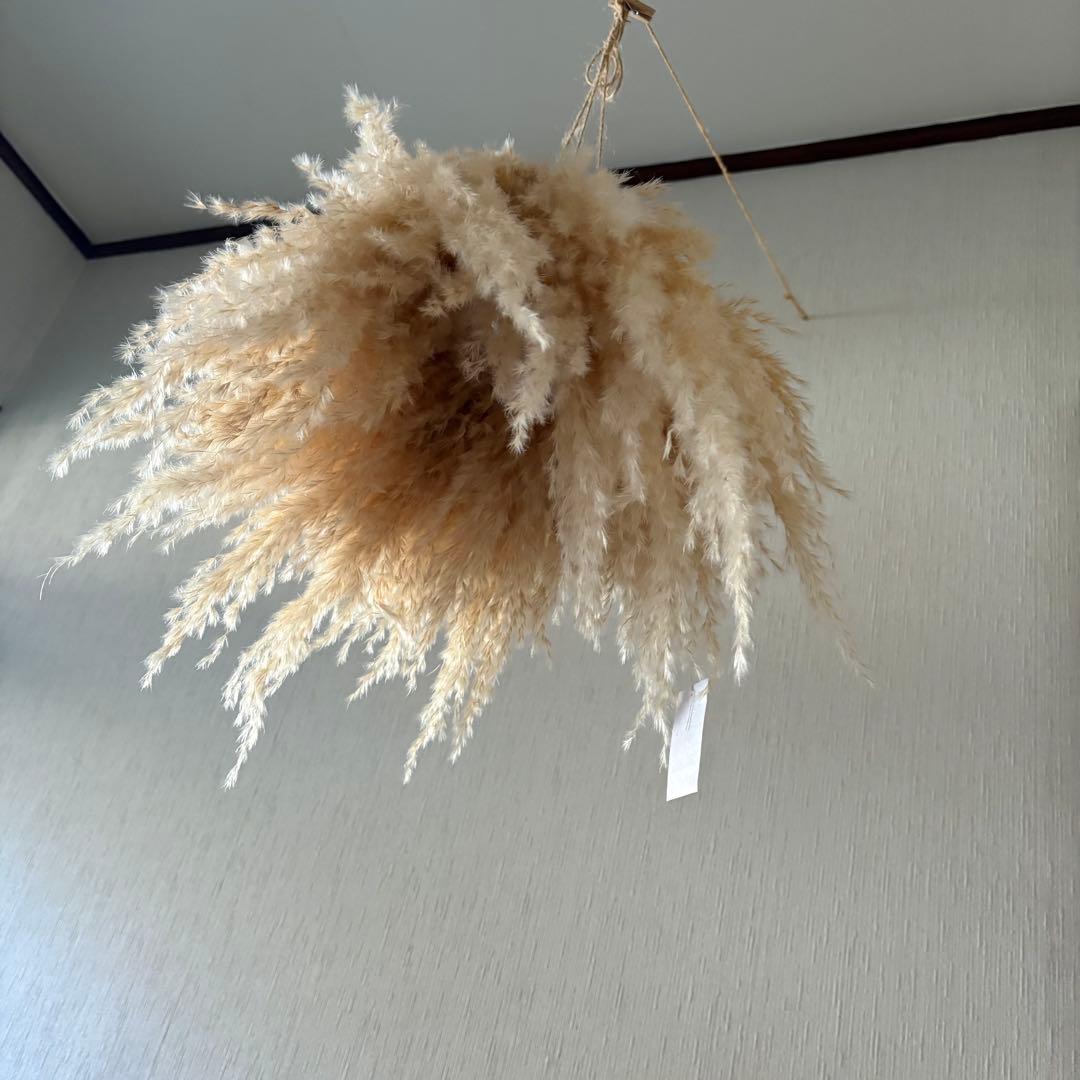 パンパスグラス フライングリース 33～37cm ＊ ホワイトフェザー リース