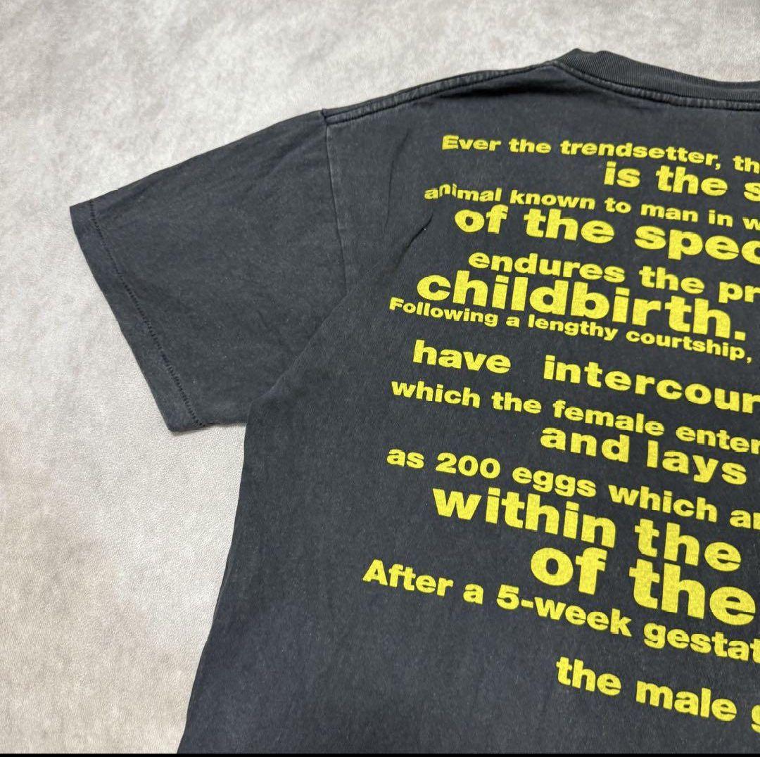 90s NIRVANA タツノオトシゴ Rape Me バンドTシャツ USA製