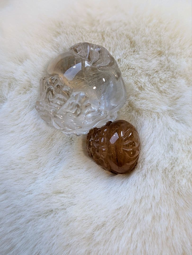 親子亀龍　♡シルバールチル　ゴールドルチル♡