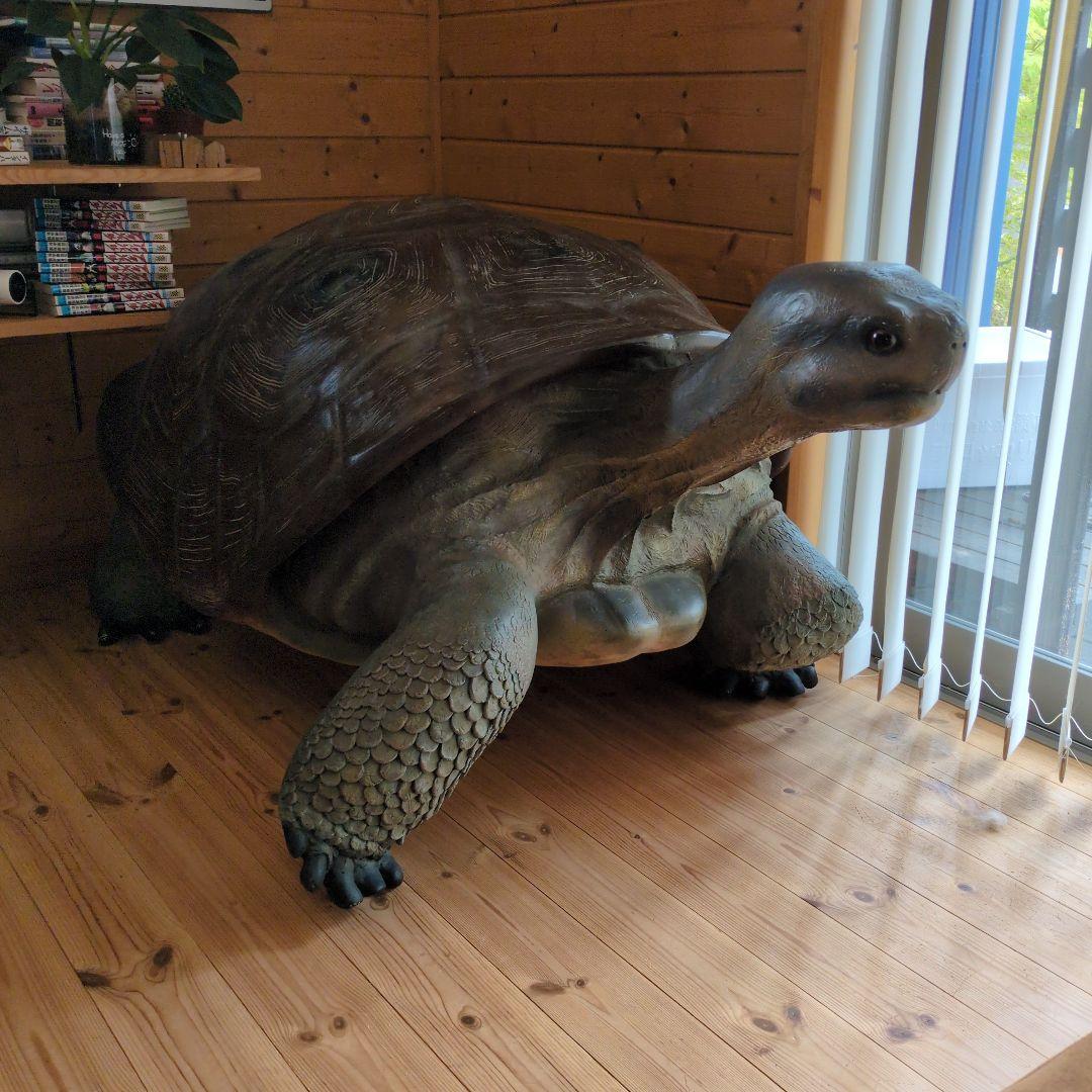 置物 縁起物 動物 ペット ガジェット BESS 亀