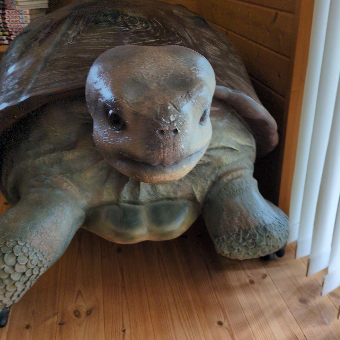 置物 縁起物 動物 ペット ガジェット BESS 亀